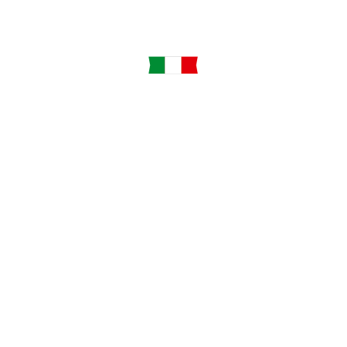 pizzaaltaglio